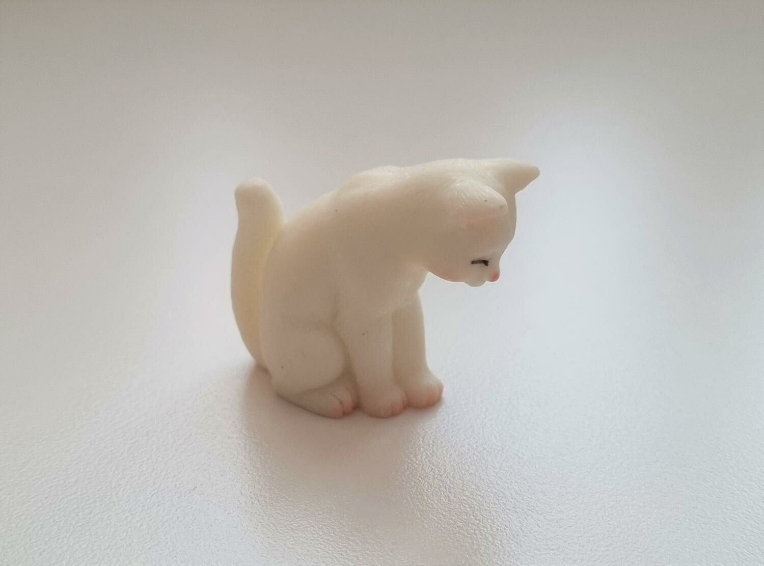 Katt miniatyr, miniatyrkatt, minikatt
