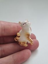 Katt miniatyr, miniatyrkatt, minikatt