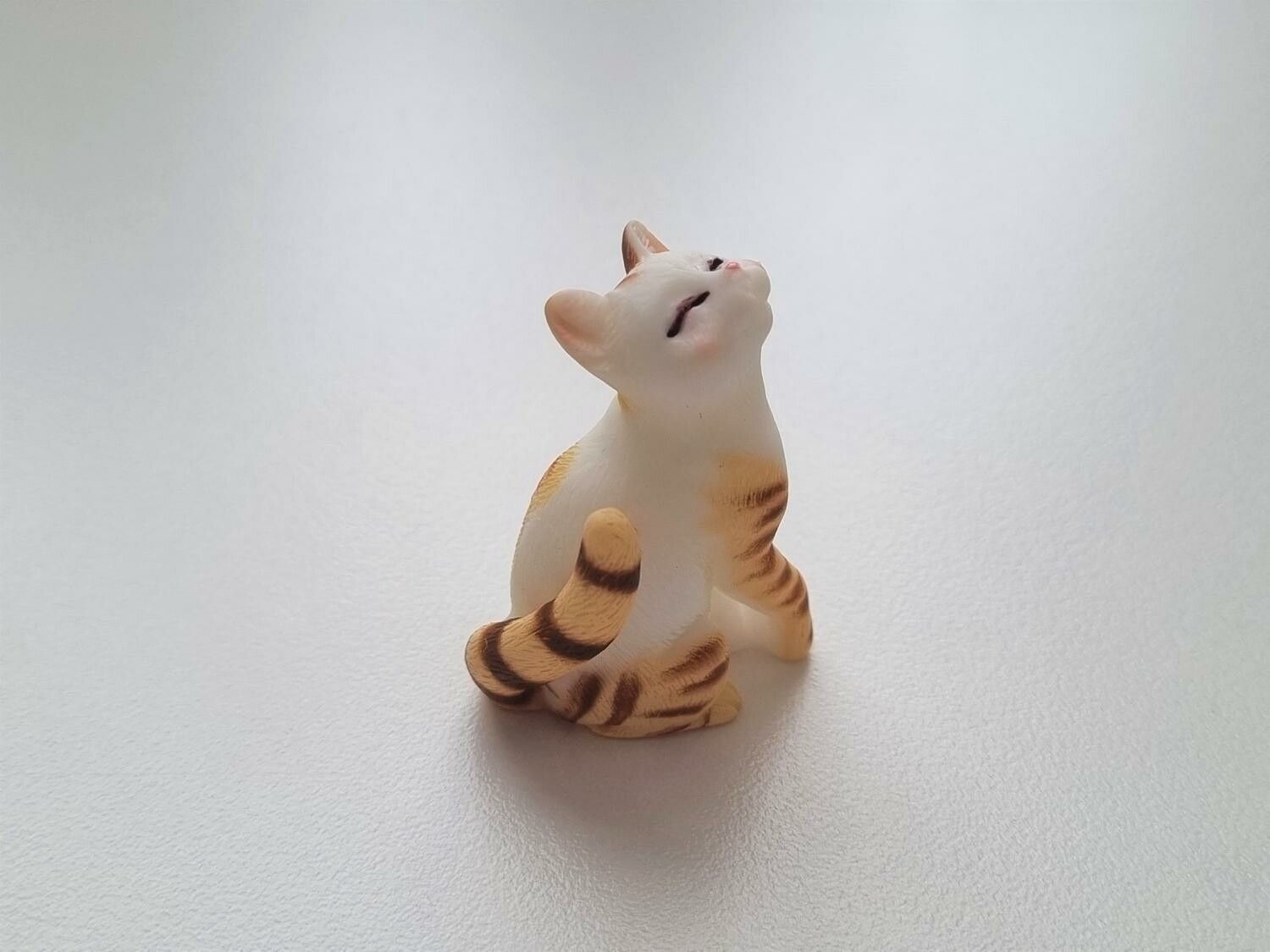 Katt miniatyr, miniatyrkatt, minikatt