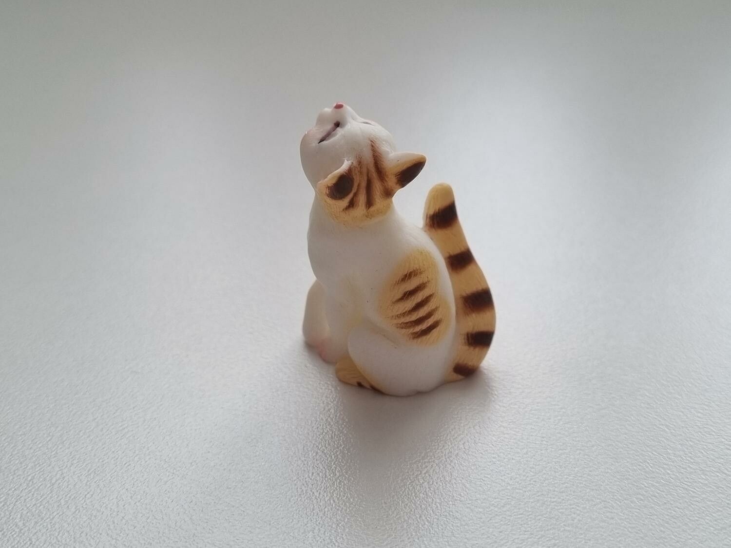 Katt miniatyr, miniatyrkatt, minikatt