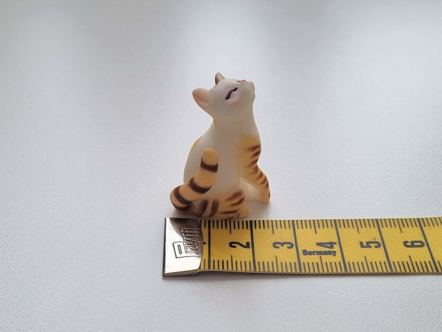 Katt miniatyr, miniatyrkatt, minikatt