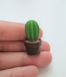 1 st kaktus, minikaktus, miniatyrer (3,2 cm hög)