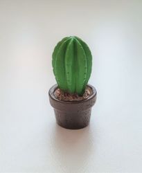 1 st kaktus, minikaktus, miniatyrer (3,2 cm hög)