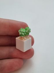 Handmålad kaktus i kruka, miniatyr, minikaktus (2,3 cm hög)