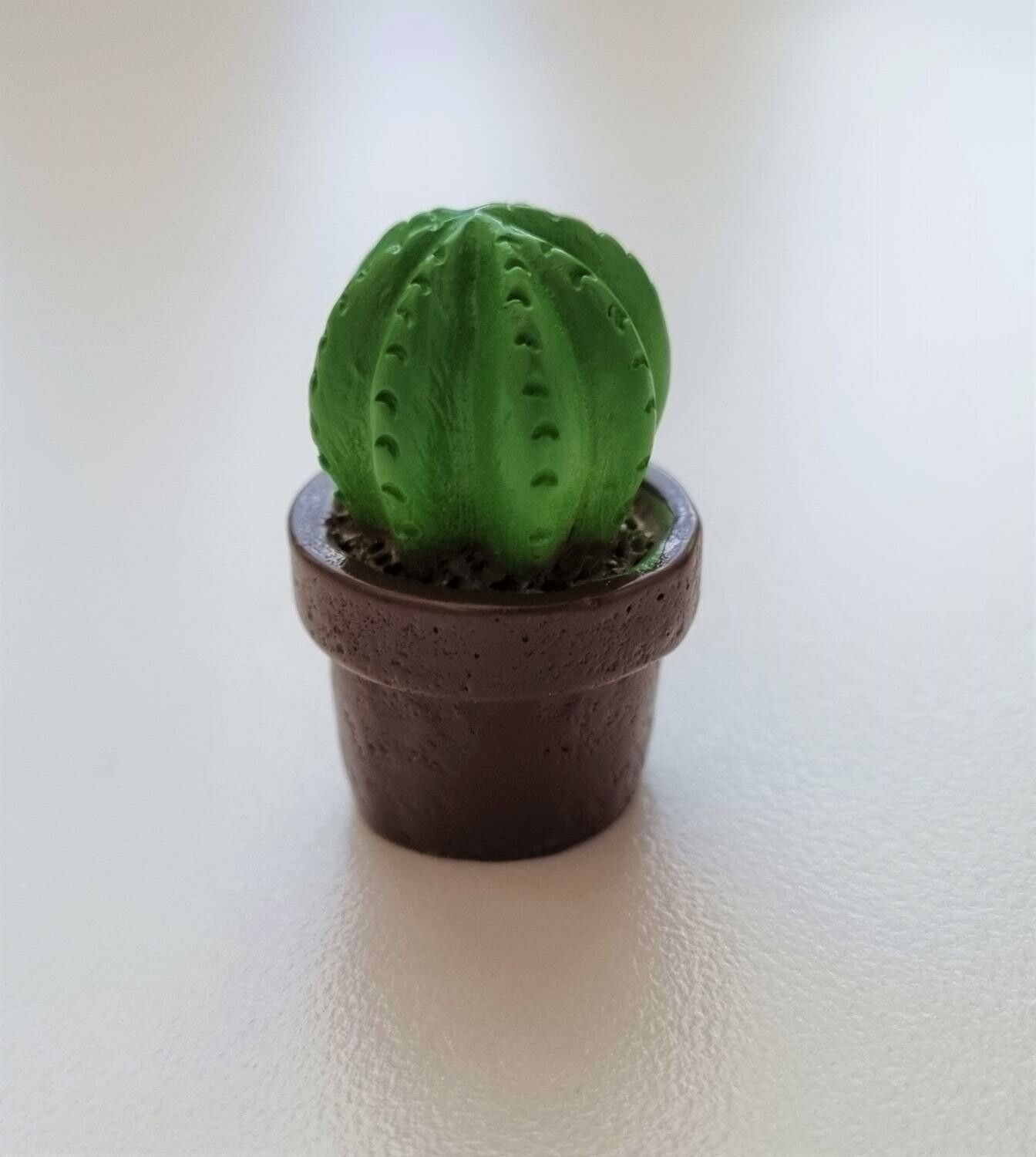 1 st kaktus, minikaktus, miniatyrer (2,5 cm hög)
