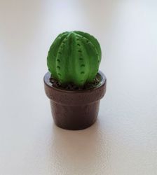 1 st kaktus, minikaktus, miniatyrer (2,5 cm hög)
