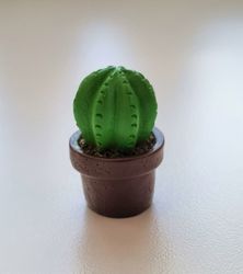 1 st kaktus, minikaktus, miniatyrer (2,5 cm hög)