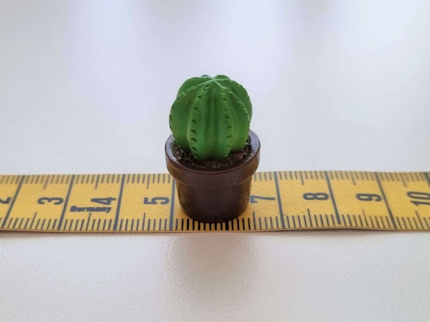 1 st kaktus, minikaktus, miniatyrer (2,5 cm hög)