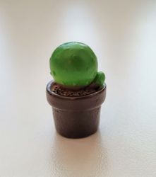 1 st kaktus, minikaktus, miniatyrer (2,5 cm hög)