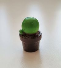 1 st kaktus, minikaktus, miniatyrer (2,5 cm hög)