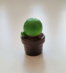 1 st kaktus, minikaktus, miniatyrer (2,5 cm hög)
