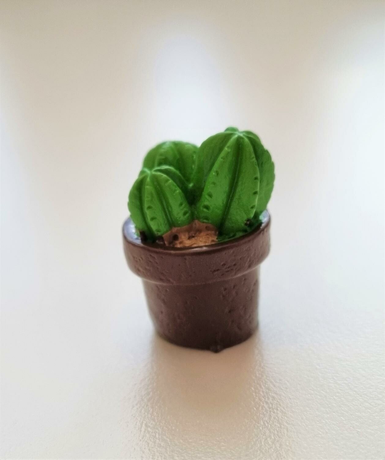 1 st kaktus, minikaktus, miniatyrer (2,3 cm hög)