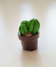 1 st kaktus, minikaktus, miniatyrer (2,3 cm hög)