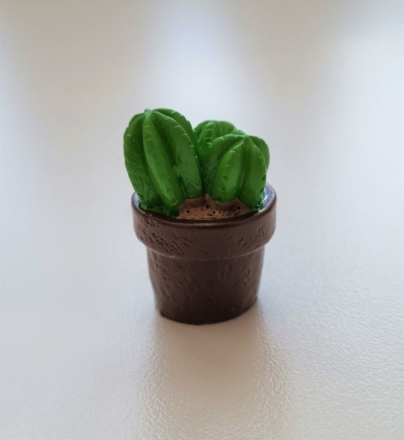 1 st kaktus, minikaktus, miniatyrer (2,3 cm hög)