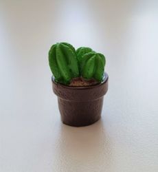 1 st kaktus, minikaktus, miniatyrer (2,3 cm hög)