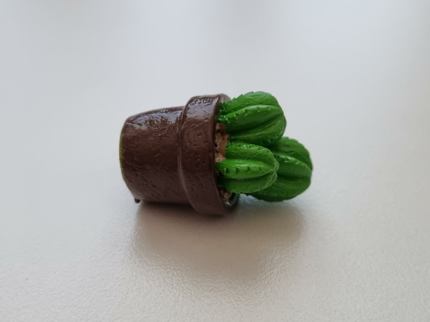1 st kaktus, minikaktus, miniatyrer (2,3 cm hög)