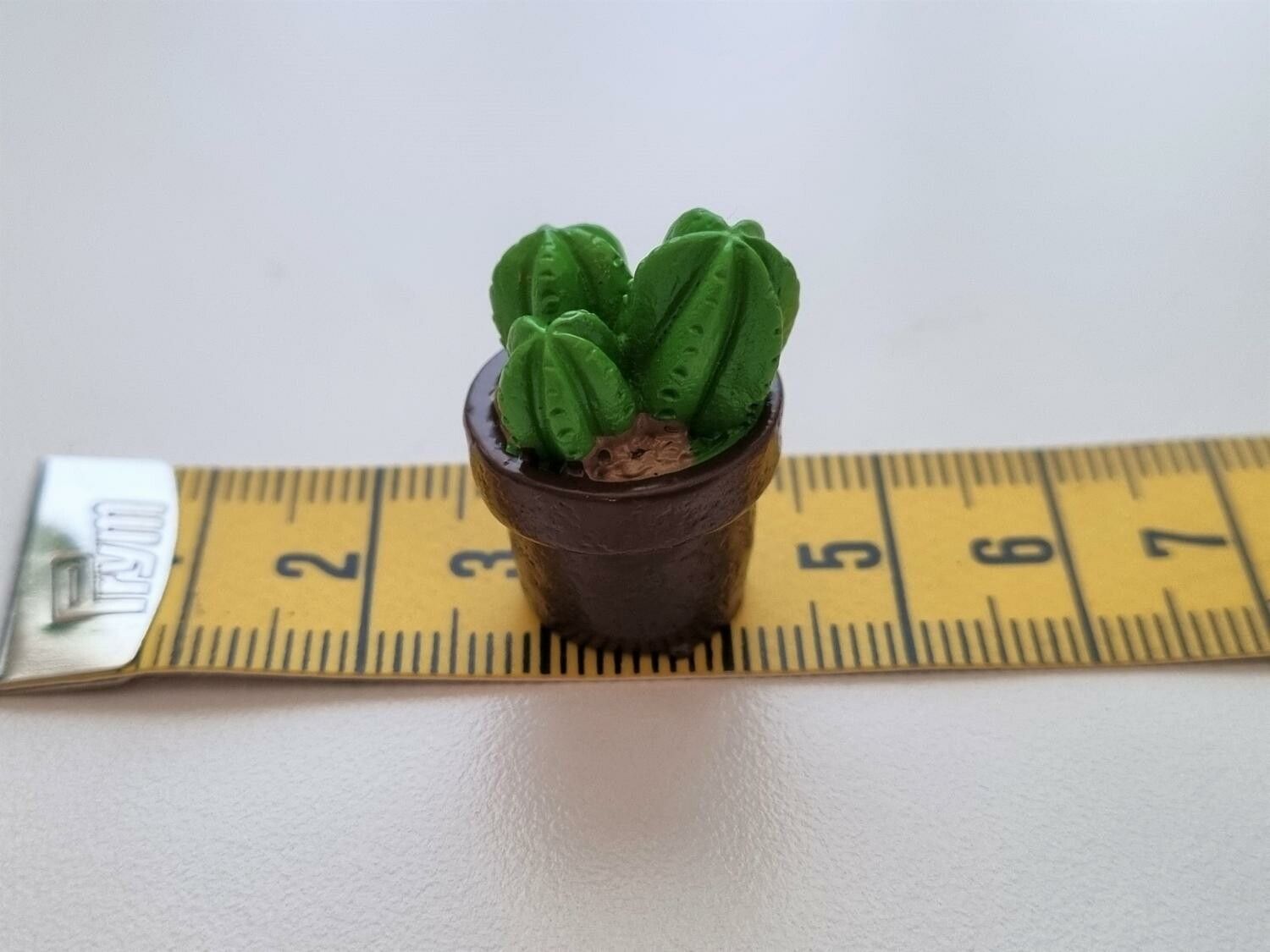 1 st kaktus, minikaktus, miniatyrer (2,3 cm hög)