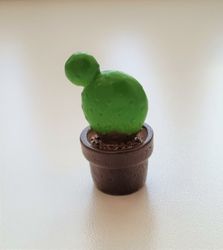 1 st kaktus, minikaktus, miniatyrer (3 cm hög)