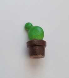 1 st kaktus, minikaktus, miniatyrer (3 cm hög)