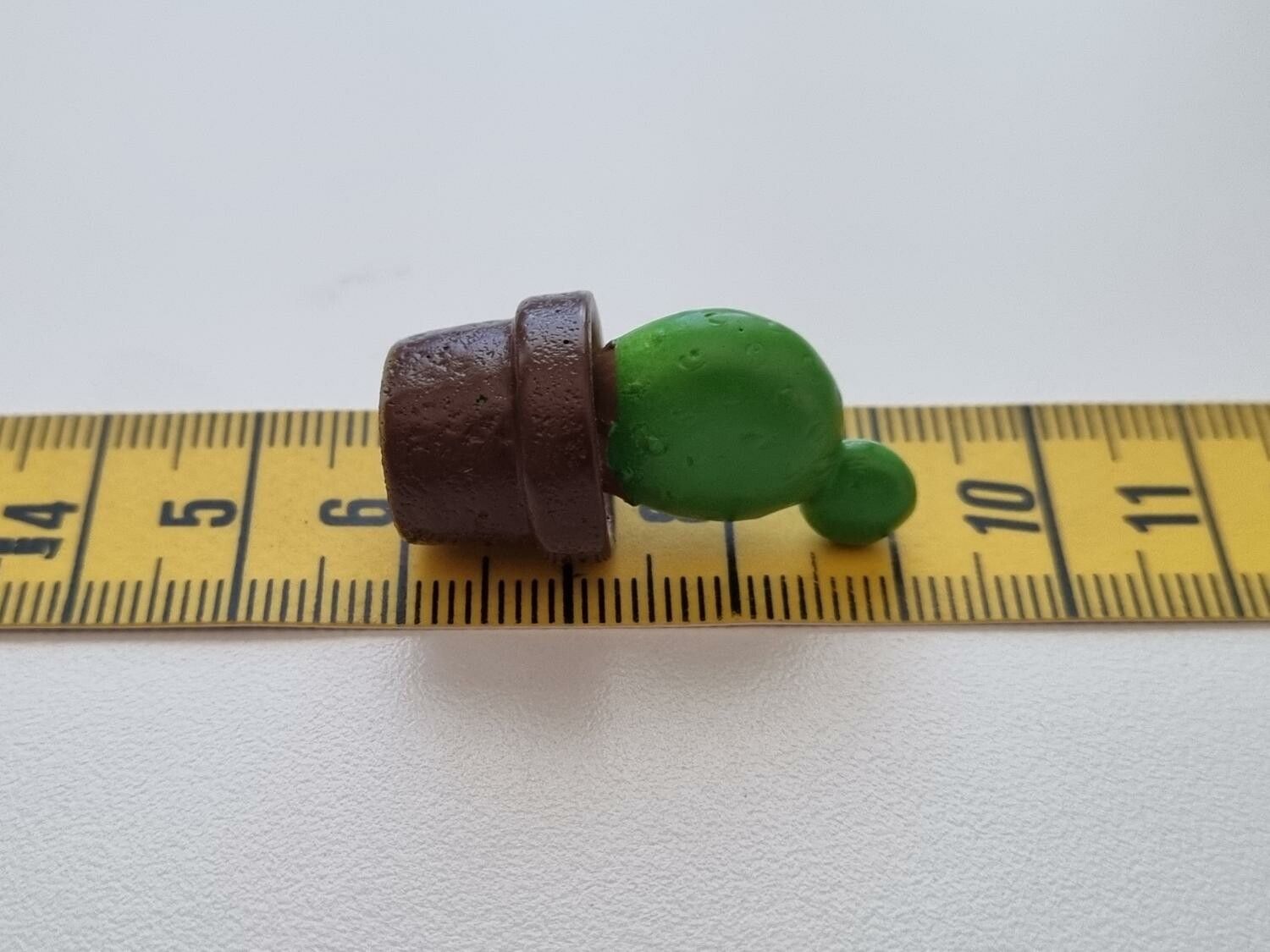1 st kaktus, minikaktus, miniatyrer (3 cm hög)