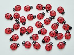 25 st nyckelpigor i resin, miniatyrer (röda)