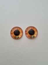 2 st drakögon kattögon i glas, glasinfattningar, cabochoner (12 mm)