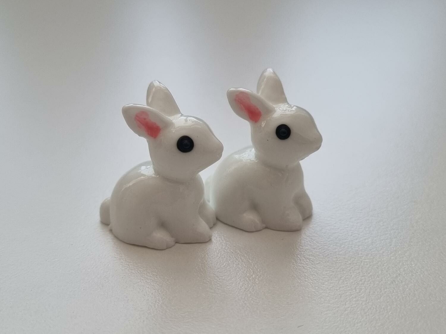 Miniatyr kanin miniatyrkaniner kaniner (2 st)