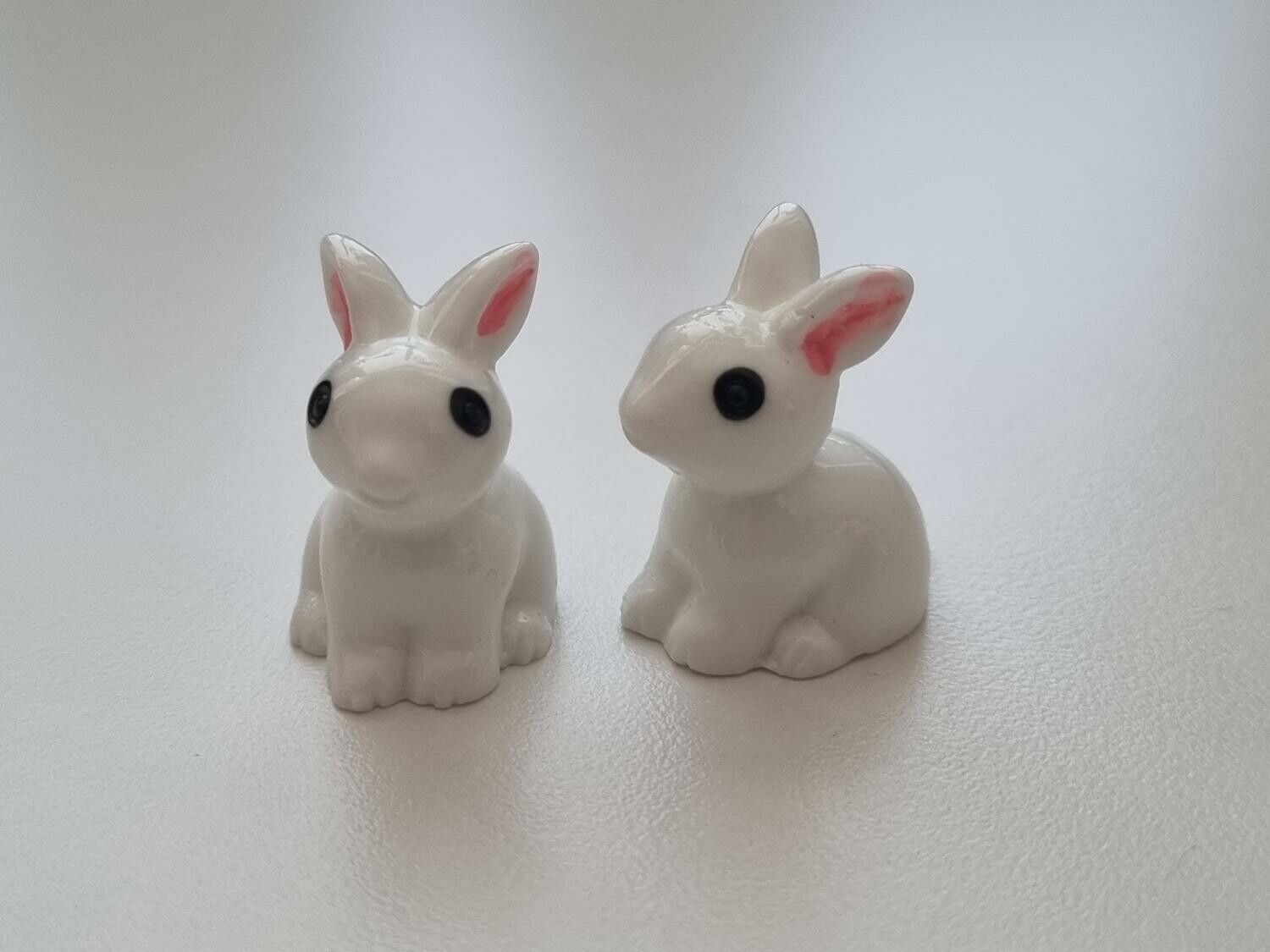 Miniatyr kanin miniatyrkaniner kaniner (2 st)