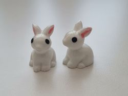 Miniatyr kanin miniatyrkaniner kaniner (2 st)