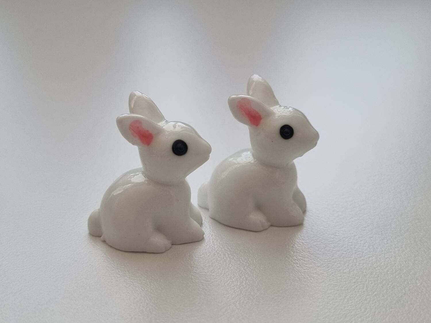 Miniatyr kanin miniatyrkaniner kaniner (2 st)