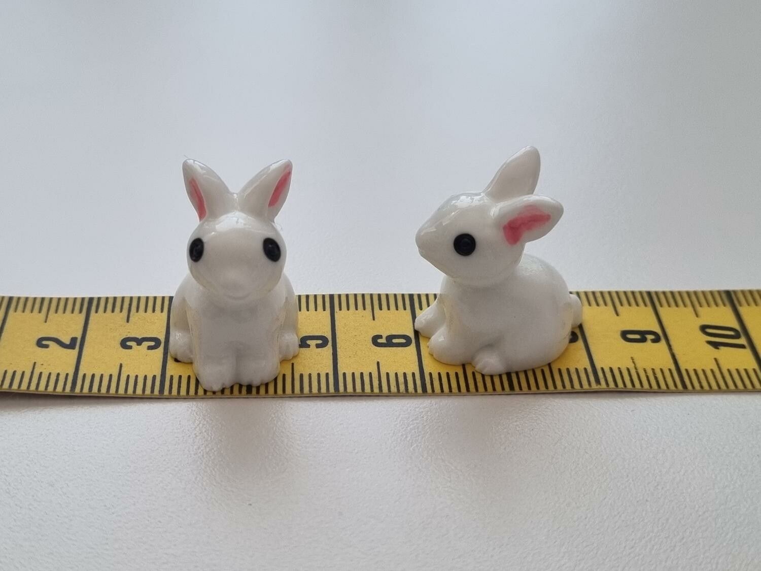 Miniatyr kanin miniatyrkaniner kaniner (2 st)