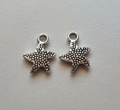 Berlocker Charms - Sjöstjärnor 2 st