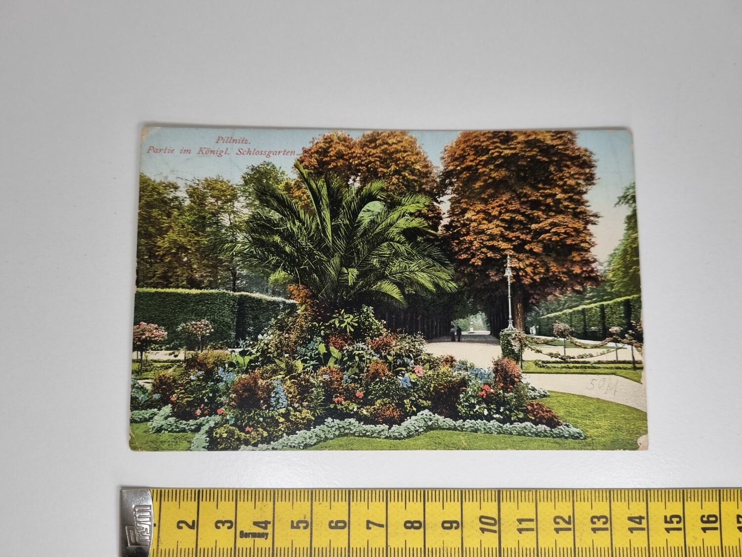 Äldre vykort. Pillnitz. Partie im Königl. Schlossgarten