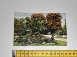 Äldre vykort. Pillnitz. Partie im Königl. Schlossgarten