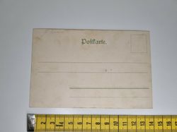 Äldre vykort. Moritzburg Fütterung der Wildschweine