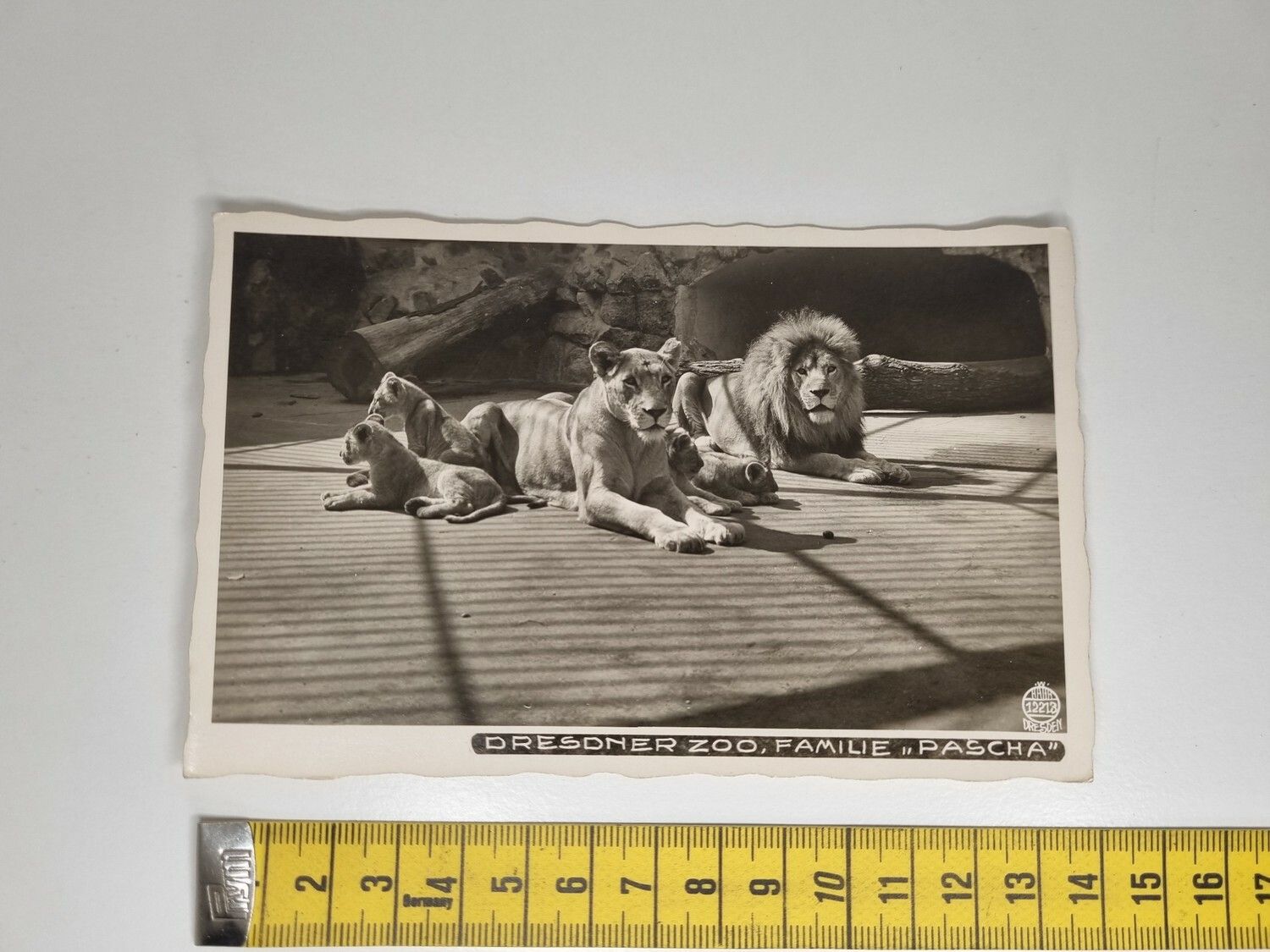 Äldre vykort. DRESDNER ZOO, FAMILIE PASCHA