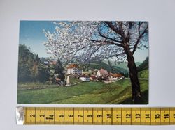 Äldre vykort. Bozen. Ostämplat (1908, 5 Heller, Kaiser Franz Joseph)