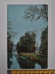 Äldre vykort, Wörlitz. Partie im Park