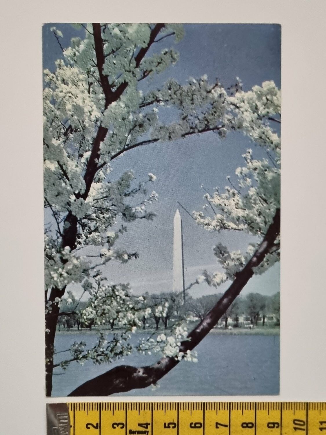 Äldre vykort, The Washington Monument.