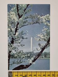 Äldre vykort, The Washington Monument.