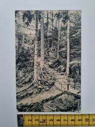 Äldre vykort, stämplat 1924. Adresserat Halmstad
