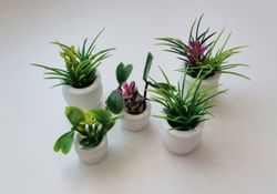 5 st blommor, växter i kruka  - miniatyrer till dockskåp dockhus