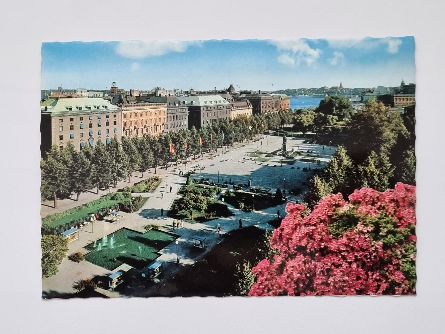 Vykort - Stockholm. Kungsträdgården