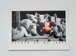 Vykort - Savner du os ikke?