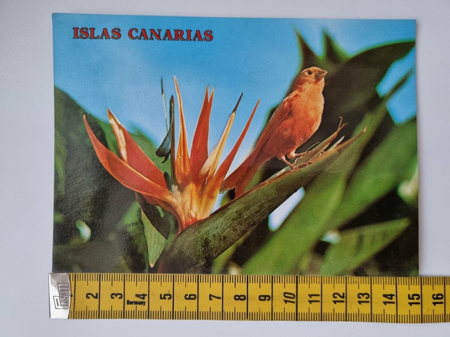 Vykort, Islas Canarias