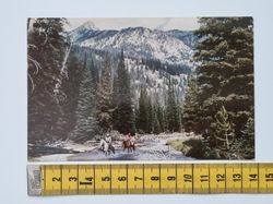 Vykort Wyoming Horseback Riding