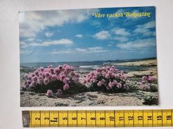 Vykort Vårt vackra Bohuslän. Stämplat 1982