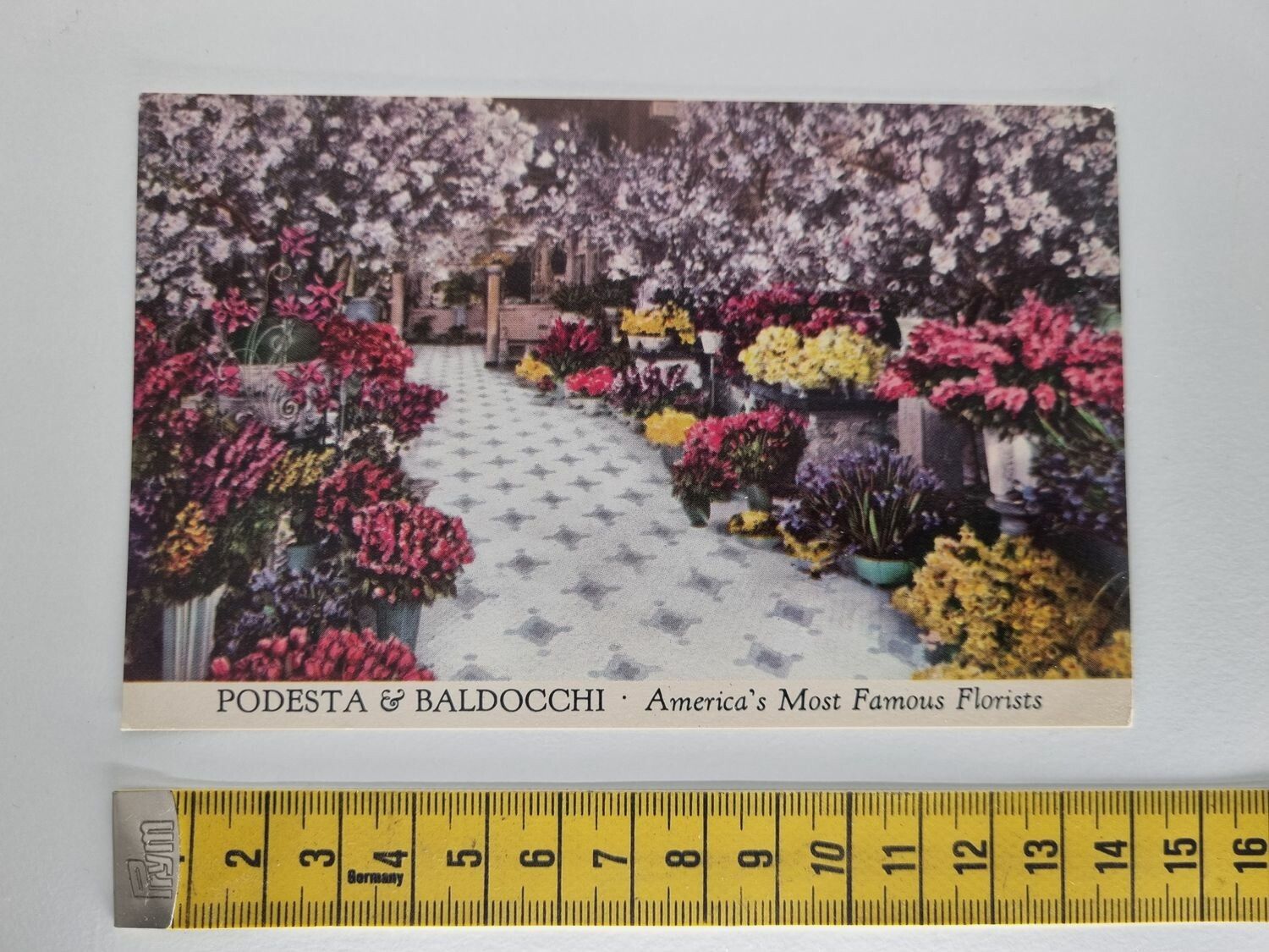 Vykort PODESTA & BALDOCCHI. America's Most Famous Florists