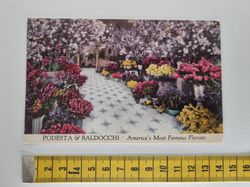 Vykort PODESTA & BALDOCCHI. America's Most Famous Florists