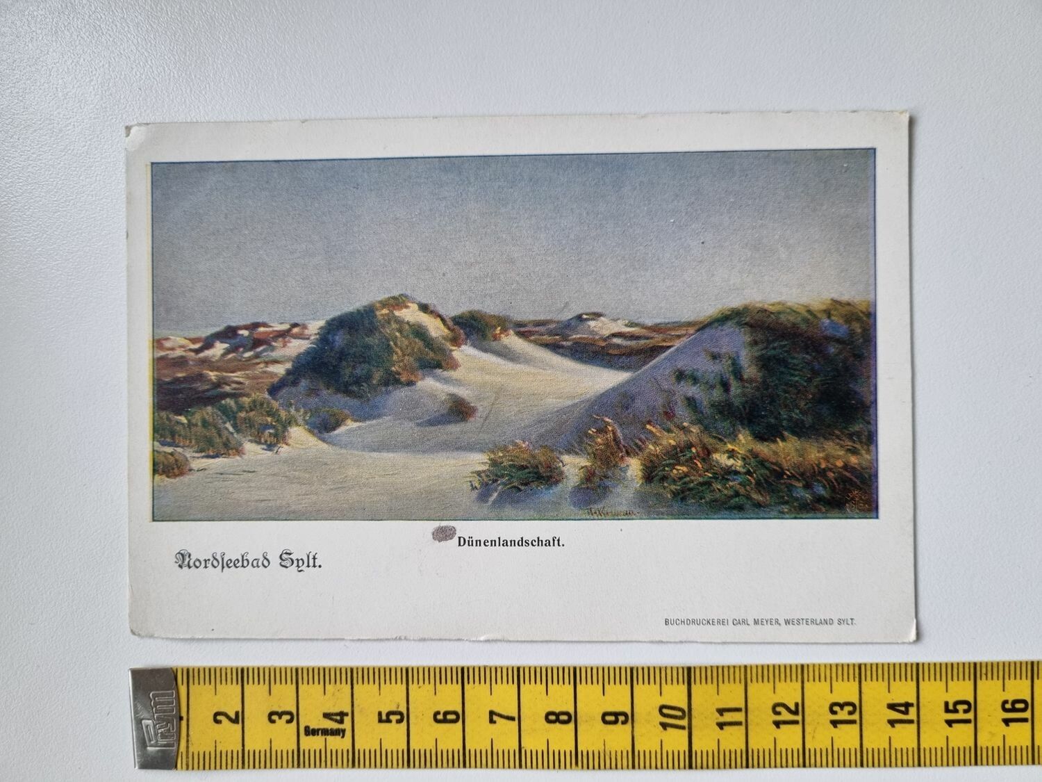Vykort Nordseebad Splt. Dünenlandschaft 1903